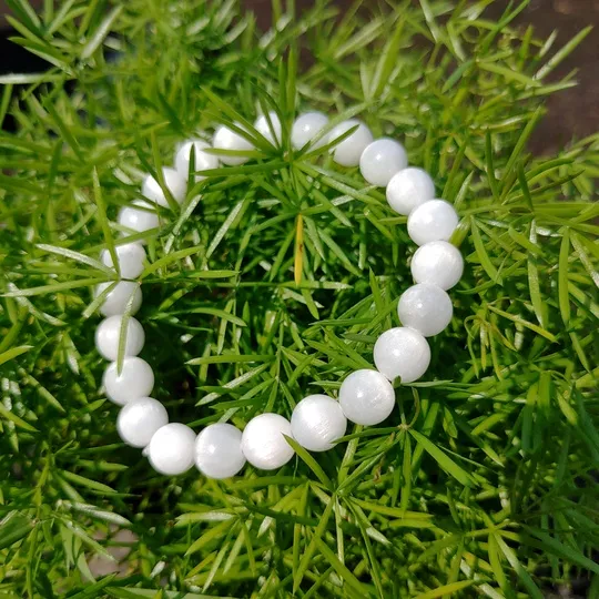 Bright white Selenite bracelet with smooth, shimmery beads, photographed on fresh green asparagus fern leaves. Excellent for energy cleansing and spiritual clarity. Shop pure natural Selenite in Kolkata, India.