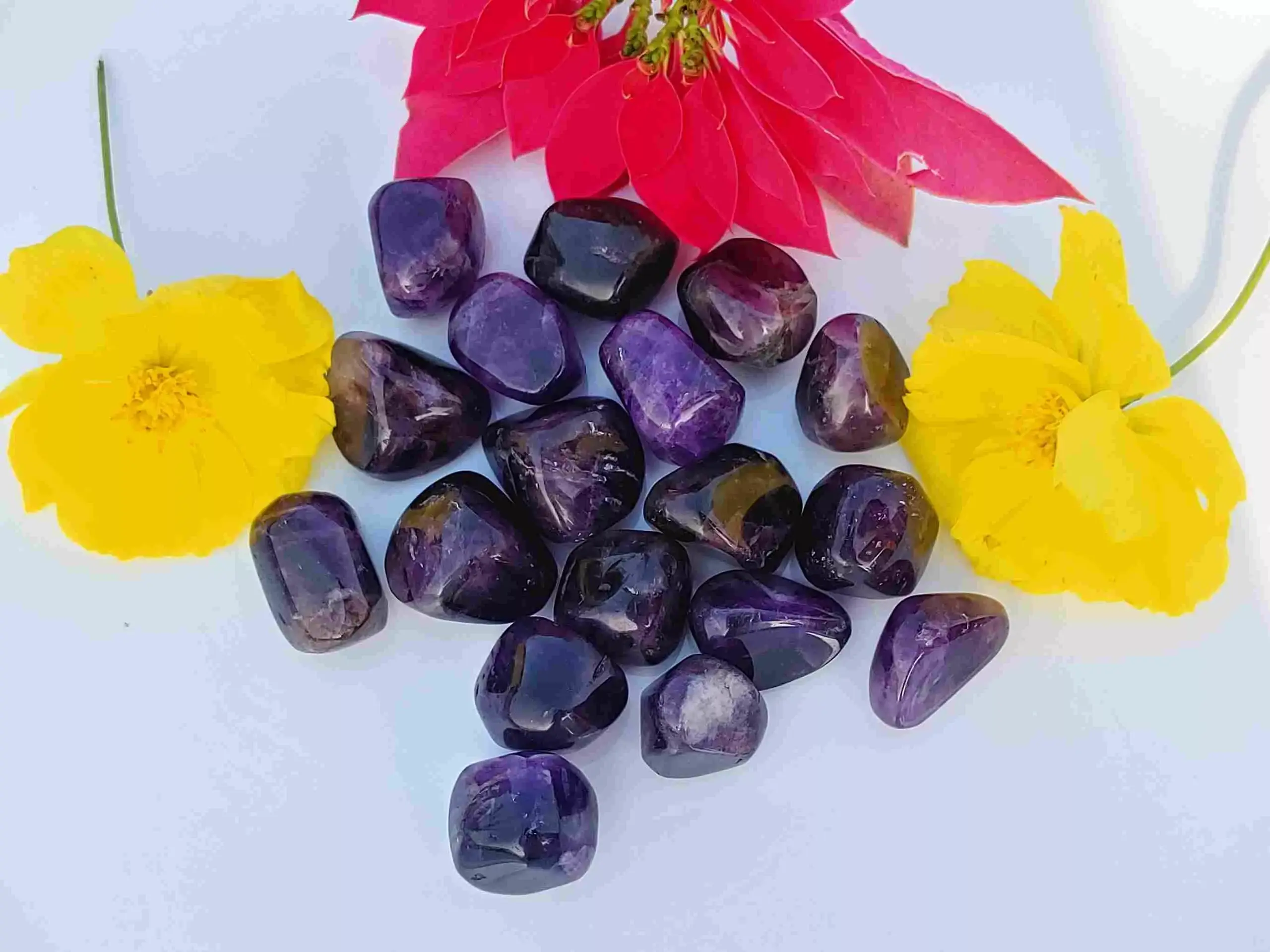 Tumbled amethyst crystals, deep purple color, surrounded by bright yellow and red flowers on a white background. Healing crystal energy in Kolkata, India.